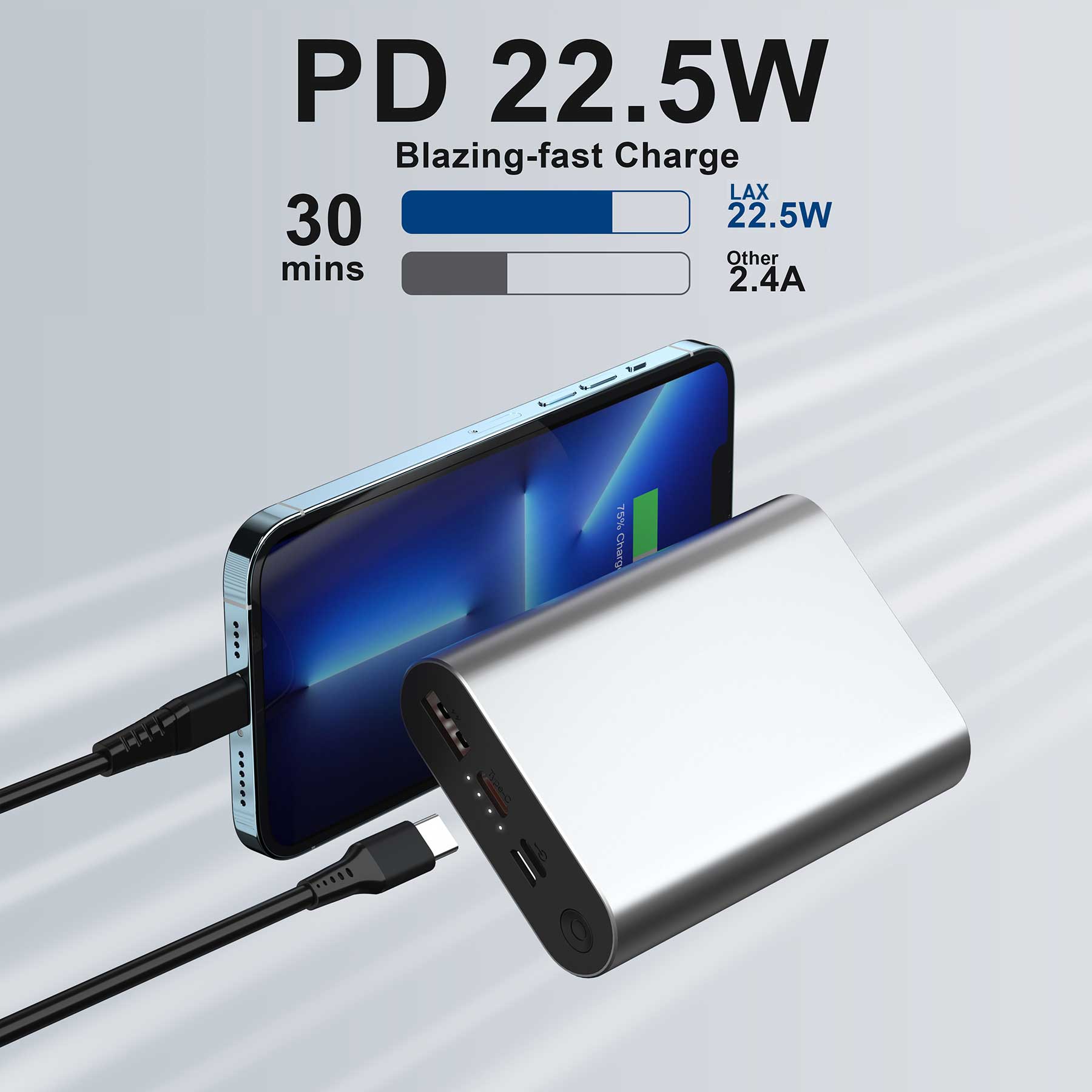 LAX Gadgets 12,000mAh High-Speed Portable Power Bank | Fast Charging | Dual Output