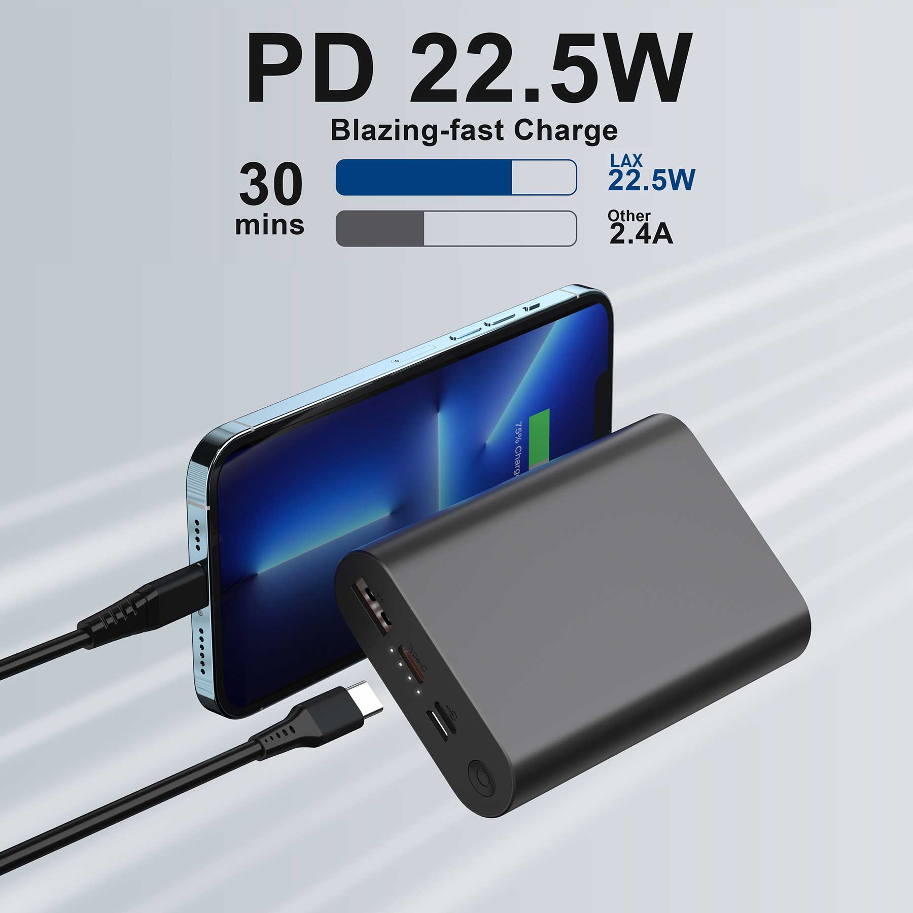 LAX Gadgets 12,000mAh High-Speed Portable Power Bank | Fast Charging | Dual Output