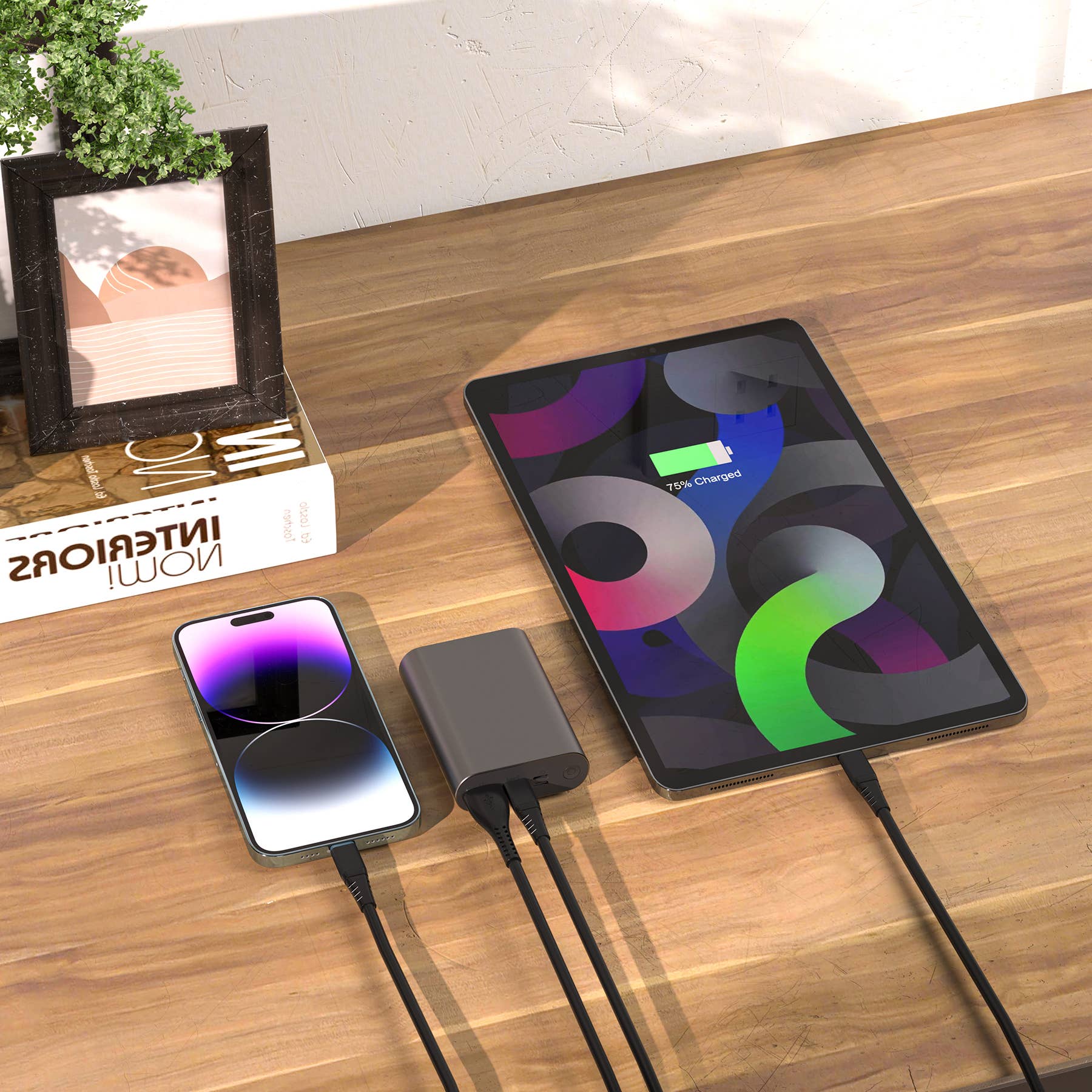 LAX Gadgets 12,000mAh High-Speed Portable Power Bank | Fast Charging | Dual Output