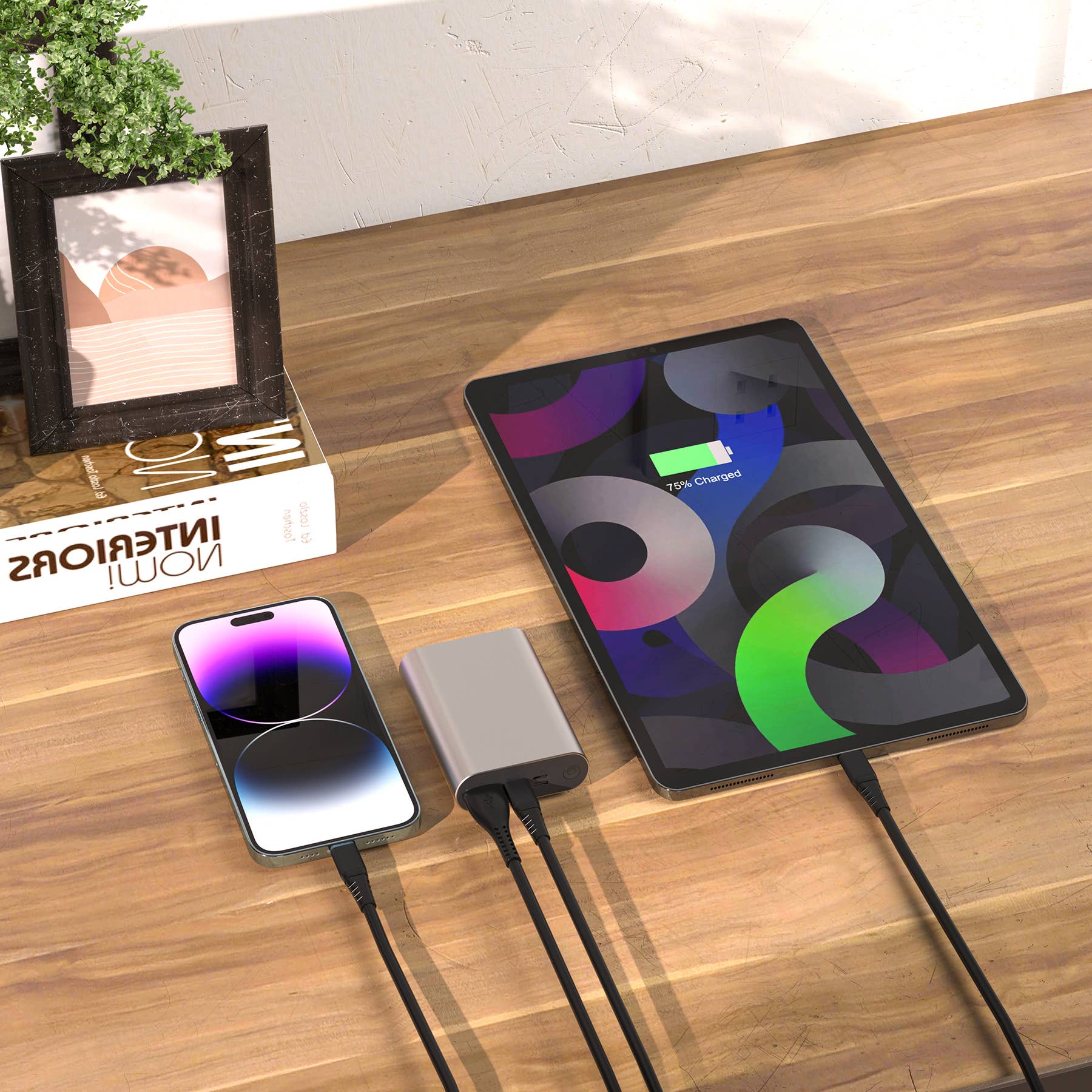 LAX Gadgets 12,000mAh High-Speed Portable Power Bank | Fast Charging | Dual Output